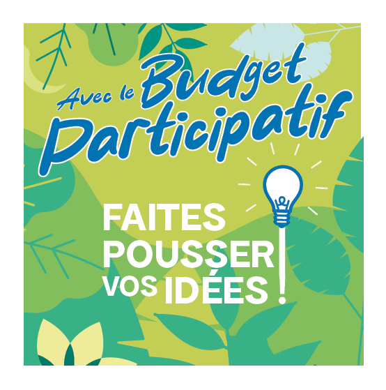 budget_participatif